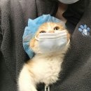 생고기카페