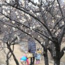 지천소공원 이미지