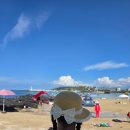 신흥 | 제주 신흥해수욕장 아이랑 방문 후기 (주차장, 샤워장, 파라솔 대여, 물때 팁)