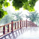 수목원 입구 이미지