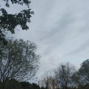신창동1173 네이버블로그