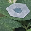 종이접기B 이미지