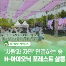 울산숲 H-아이오닉 포레스트 살롱 다녀왔어요
