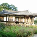 박씨