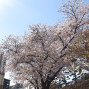 SK인천석유화학2(주)