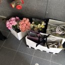 우진관리(주) | [잠실] 송파꽃집 로베ㅣ촬영,부케,선물 꽃다발ㅣ무인픽업 꽃집