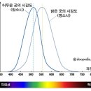 빛과조명 이미지