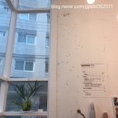시계태엽시크릿