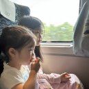 조선젤라또 | 3살·8살 아이와 부산 여행, 해운대 조선호텔 숙박 후기 (랜딩 라이브러리 수영장, 미슐랭 해목 장어...