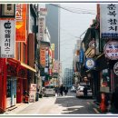 수채화(저) | 수채화 기초 배우기 처음 시작할 때 겪는 어려움과 극복 후기