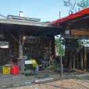 무궁화농원 이미지