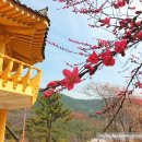 남통동 족구장 이미지