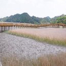 벌교생태공원 이미지