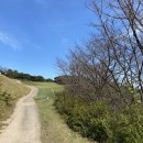 진산골프연습장 이미지