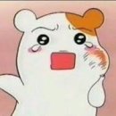 민플란트치과의원 이미지