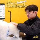 A+(알파 플러스) 펫라운지 이미지