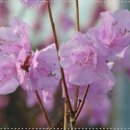 산천토담집 이미지