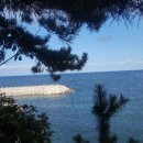 첨단카센타 이미지