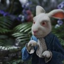 이상한 나라의 앨리스 이미지