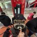 식스맨 | KBL 안양 레드부스터스 캡틴데이 후기 (정규시즌 종료 순위, 플레이오프 봄농구, 양희종 코치 합류!)