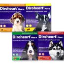 플러스조은약국 이미지