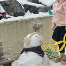 디어터틀(dear turtle) 이미지