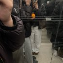 세븐일레븐 남원주으뜸점 | 2월은 너무 짧다네