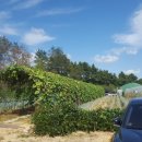 무현농장 이미지