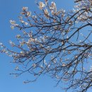 원동마을길 이미지