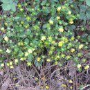 노변중학교 이미지