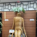 다랭이집 이미지