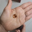 로얄(ROYAL) | 베트남 침향오일 추천, 아가로얄 AGAR ROYAL 사용 후기｜은은한 향으로 하루를 시작하는 시간