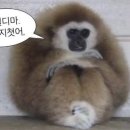목련로153번길 이미지