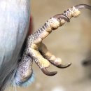 관동로27번길 이미지