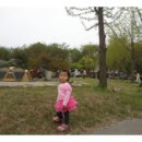 (주)드림랜드 자연휴양림