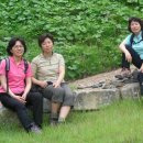 임상균농장 이미지