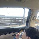 인천옹진농협노동조합 | 9개월 아기랑 갈만한 곳, 대부도 시유림풀빌라