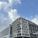 2276 | 서울 동대문 BLT 스테이크 브런치코스 후기