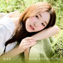 불철주야로 해봅시다 ❤️ 유튜브 스밍 🎵 이미지