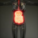 일산윌내과의원 이미지