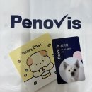 건강행복플러스 | 가지와 함께한 6개월 건강 프로젝트, 페노비스 벳케어플러스 후기✨