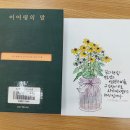 붓펜으로 그리는 캘리그라피 이미지