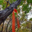 우면산3-21 이미지