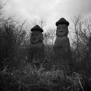 제주돌문화공원 이미지