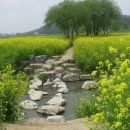 서운체육공원 (계양체육관) 이미지