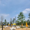 한강공원 잠실수영장 이미지