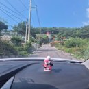 오성펜션 | 강화 석모도 펜션 오성 뷰 감성 숙소 '해비치 펜션' 후기