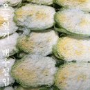 진복농장 이미지