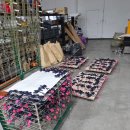 (신규/야간)가죽공예 | 가죽제품 제작 공장 브라운스킨의 강아지 키링 제작 후기