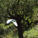 남양산역 이미지